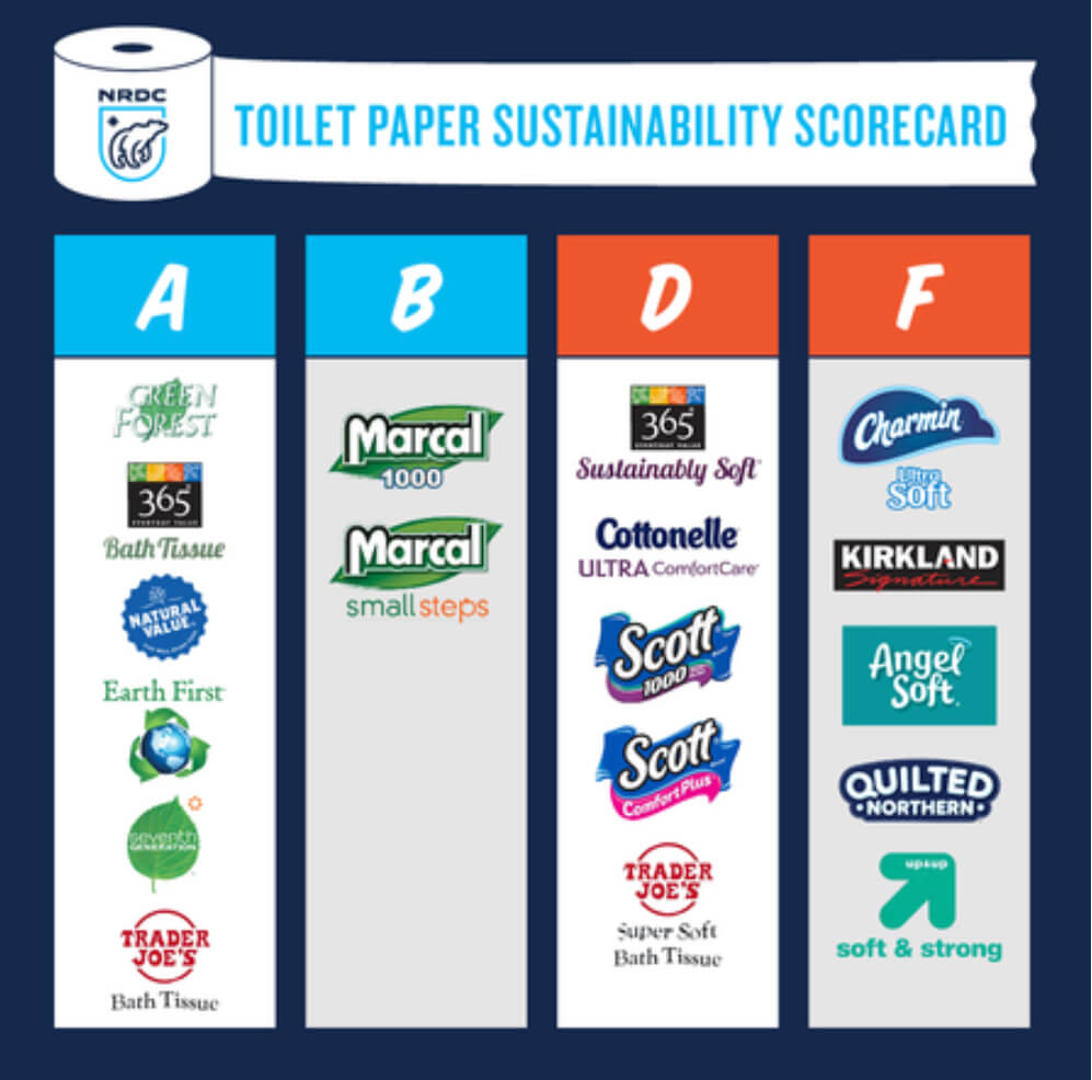 Toilet Paper and Deforestation A Direct Link